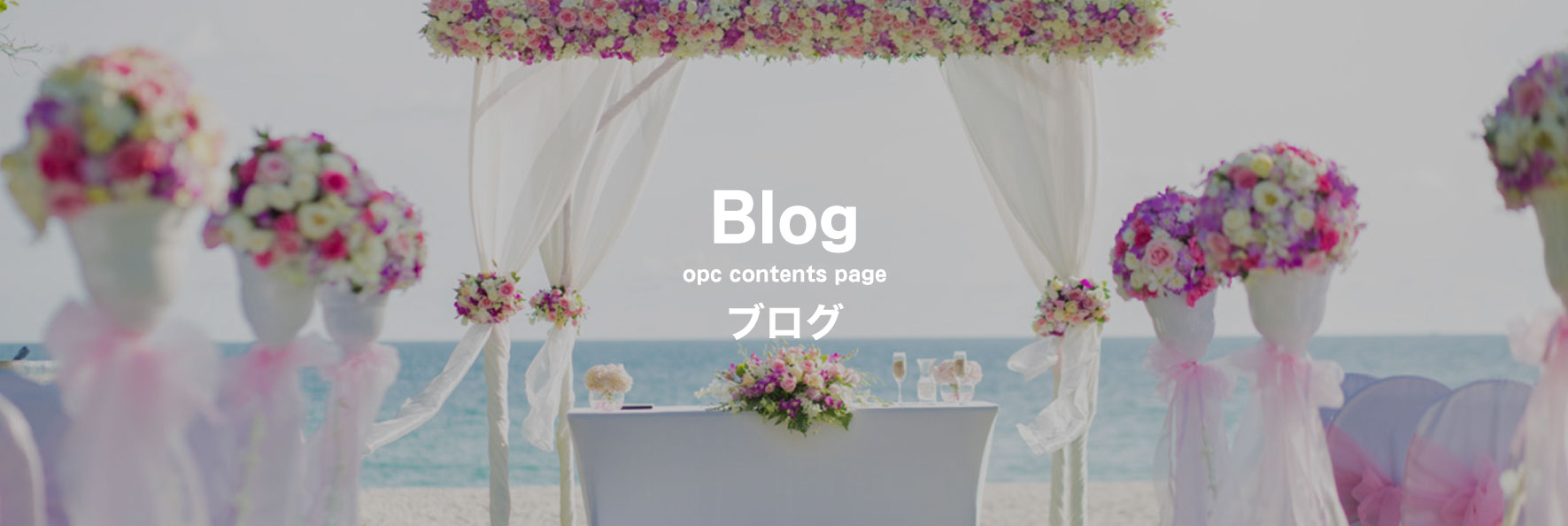 大分で25年の実績、OPCの婚活パーティー婚活OPCPartyGuidanceパーティー案内